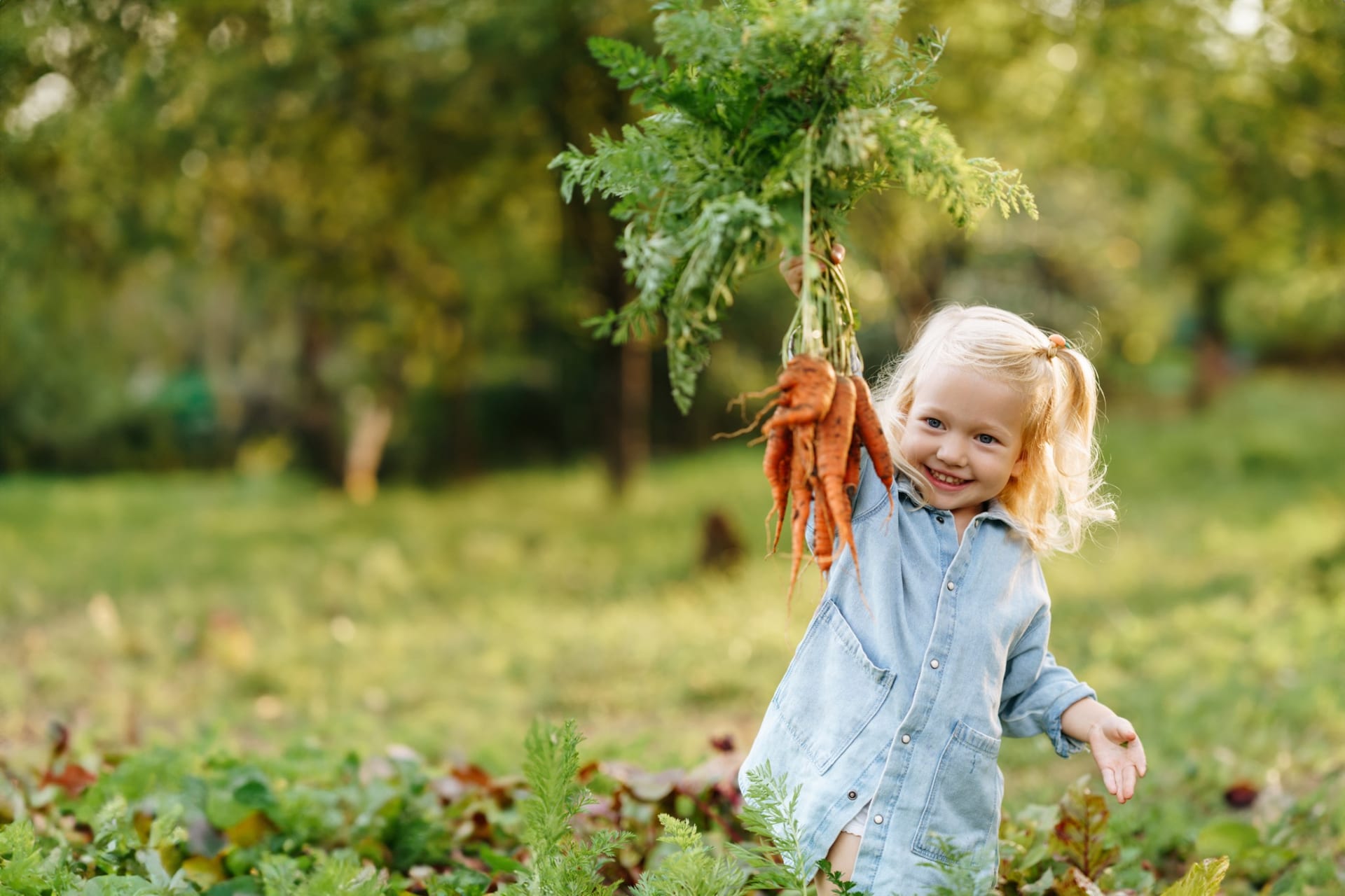 Girl holding a bunch of carrots in a garden